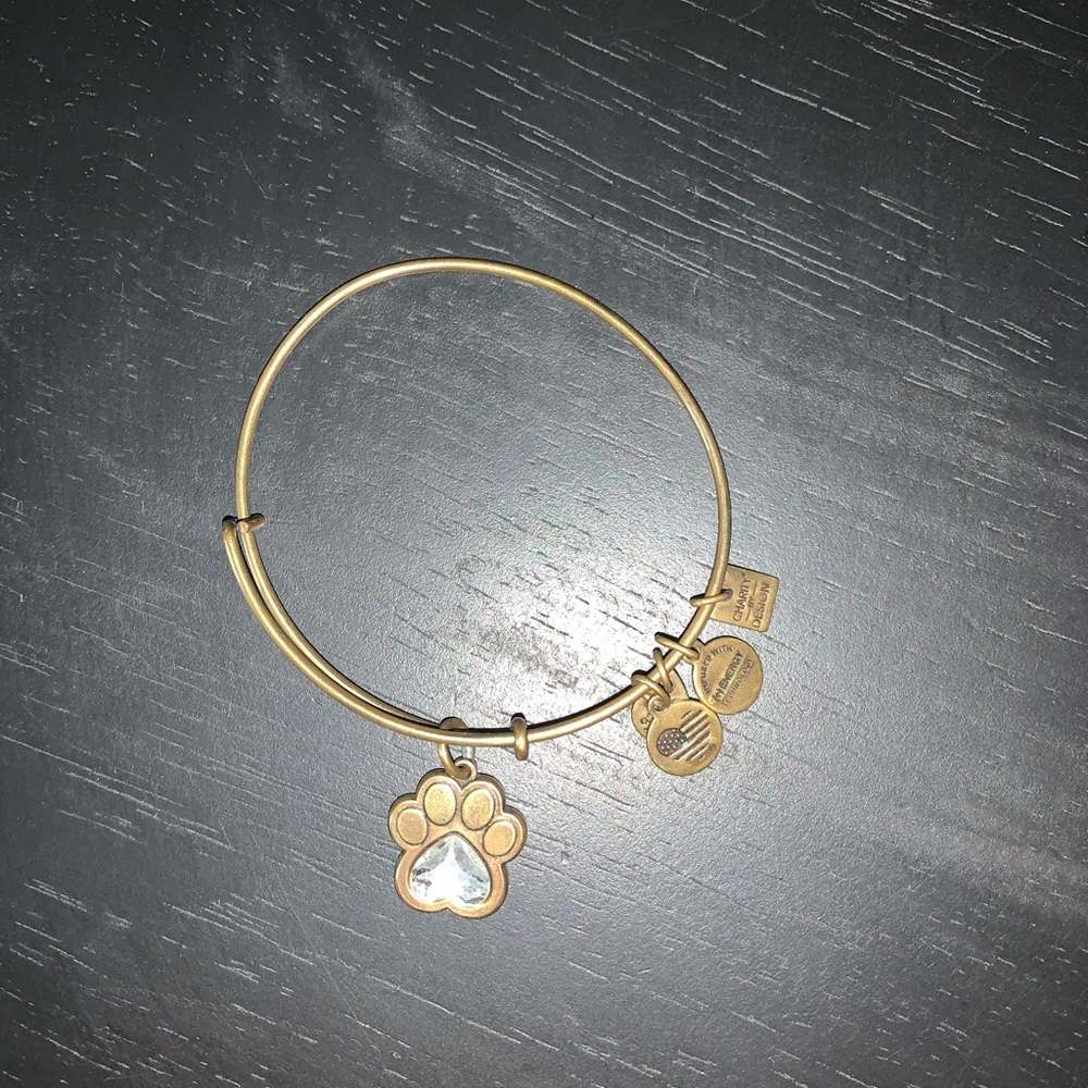 ALEX AND ANI BRACELET